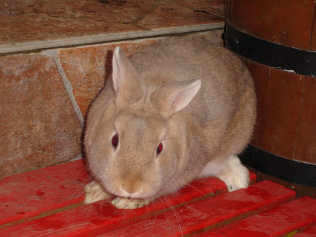 Kopie - snímek 095.jpg